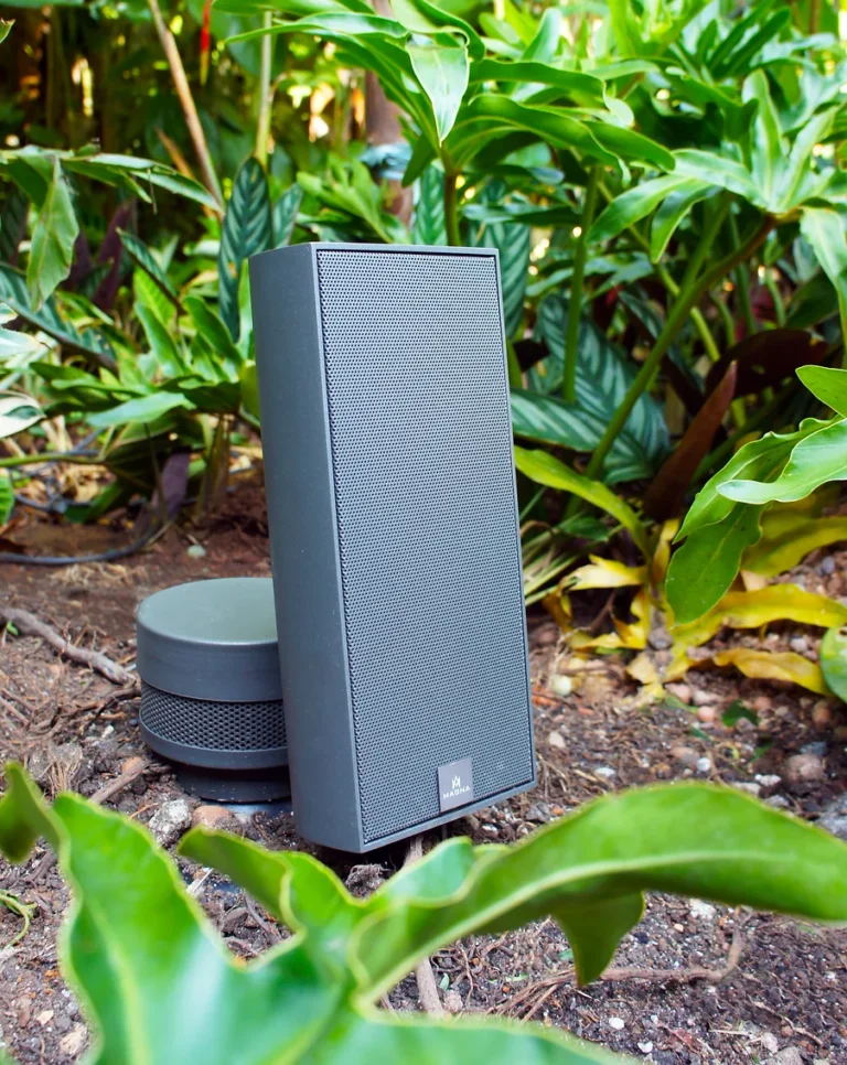 Magna Audio Outland Wild