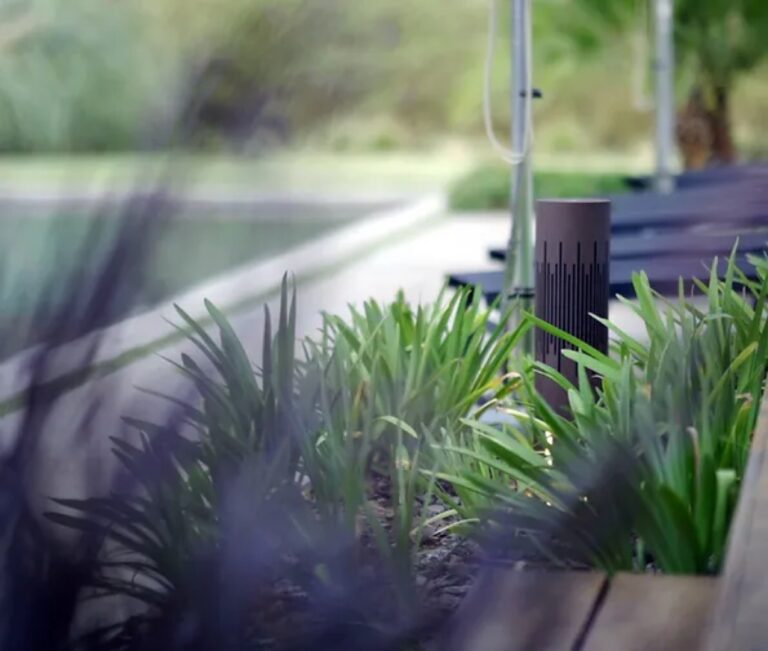 Magna Audio Polly Speaker