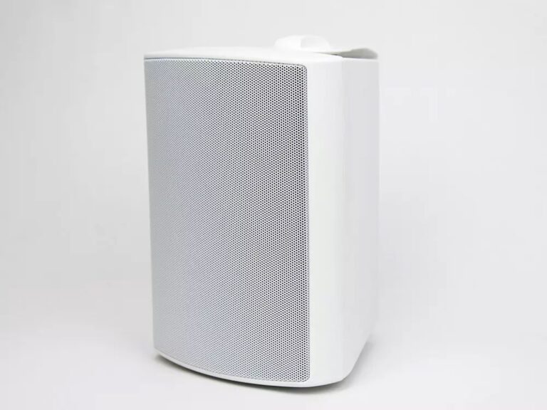 Vanguard Dynamics COD-401 Outdoor Speakers